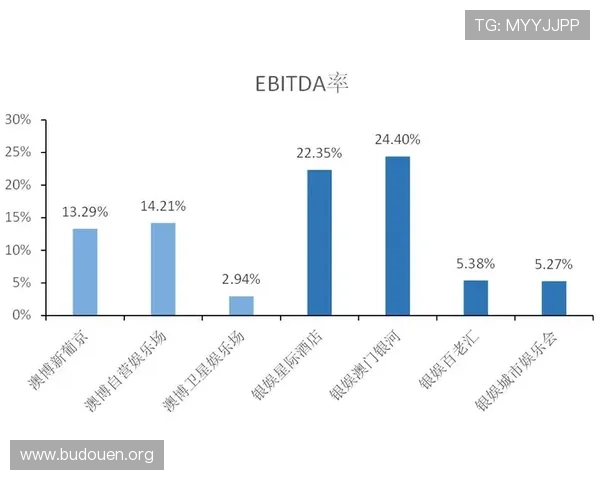澳门银河娱乐集团在博彩娱乐行业中的市场地位与竞争优势分析