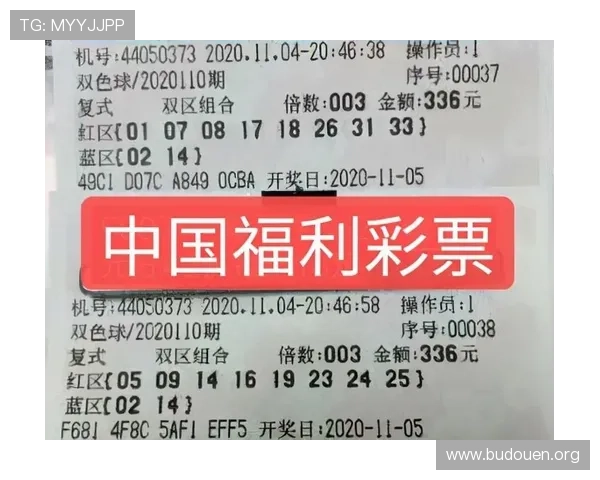 全面解析马会投注真人版的安全性与公平性保障措施让玩家放心投注